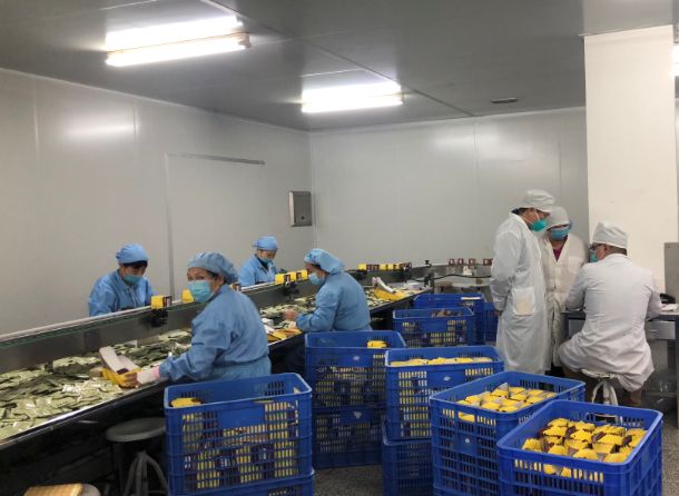 【初心如磐，，，，，使命在肩】银河国际第三党支部组织员工提前复工包管生产