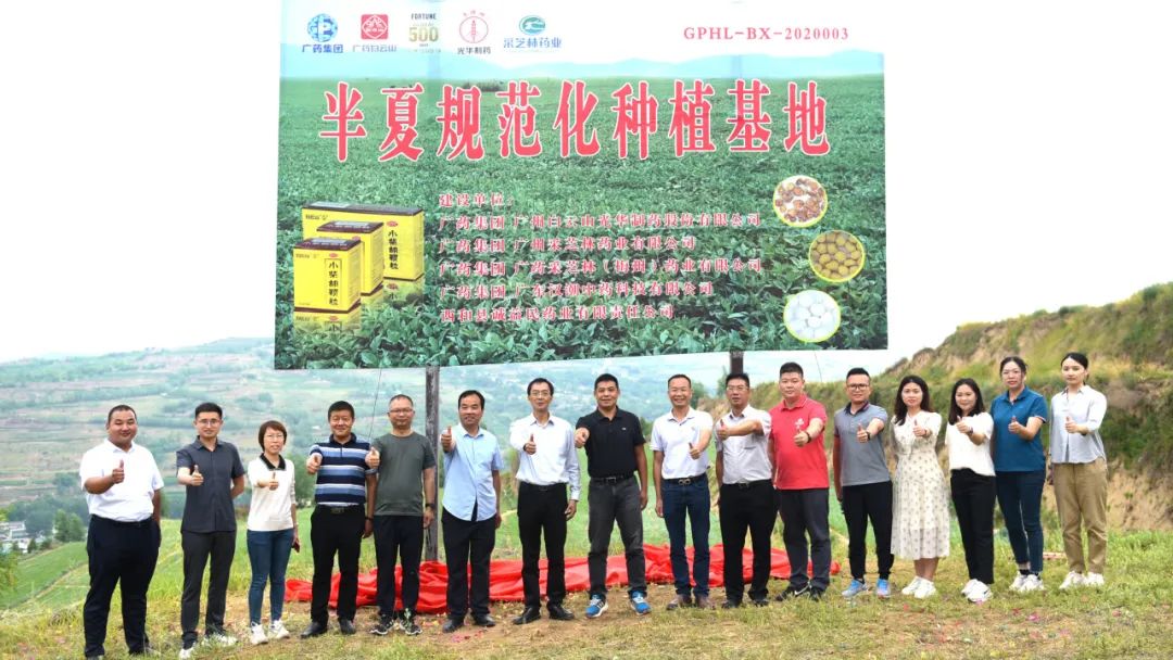 白云山银河国际公司实地考察调研中药材规范化基地